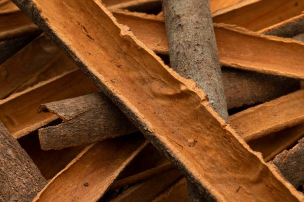 Cassia (Cinnamon Bark) Essential Oil blends well with Clove, Nutmeg, Orange, Litsea Cubeba, Rose, Bergamot, Lemongrass and Patchouli