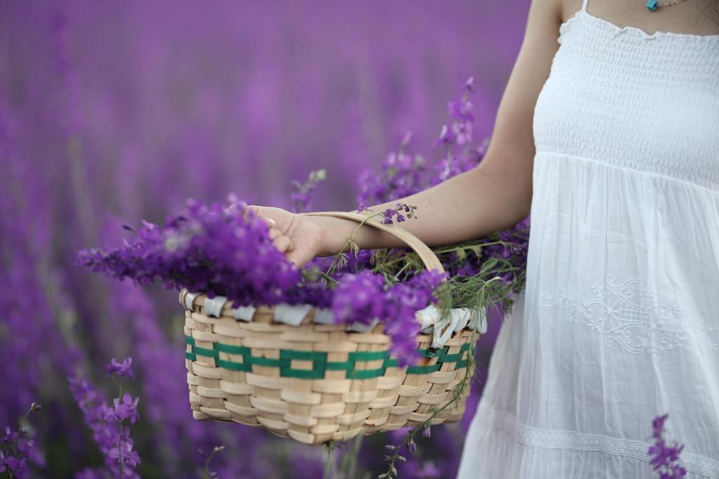 Lavender 40/42 Essential Oil blends well with German Chamomile, Black Pepper, Marjoram, Cedarwood, Lemongrass and Tea Tree
