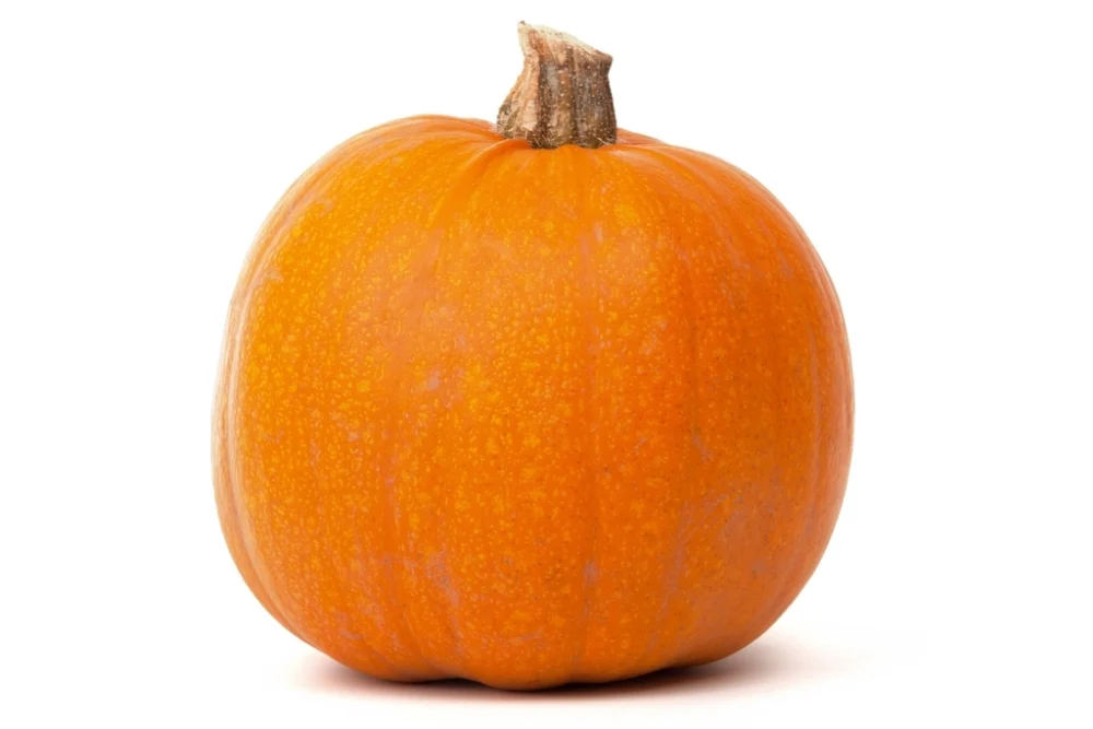 Pumpkin Spice Flavoring